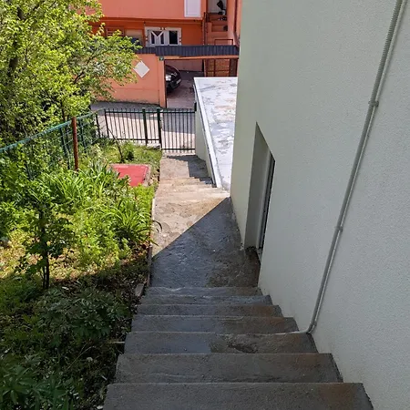 Bella Mia